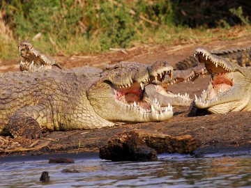 Historic Route and Omo Valley